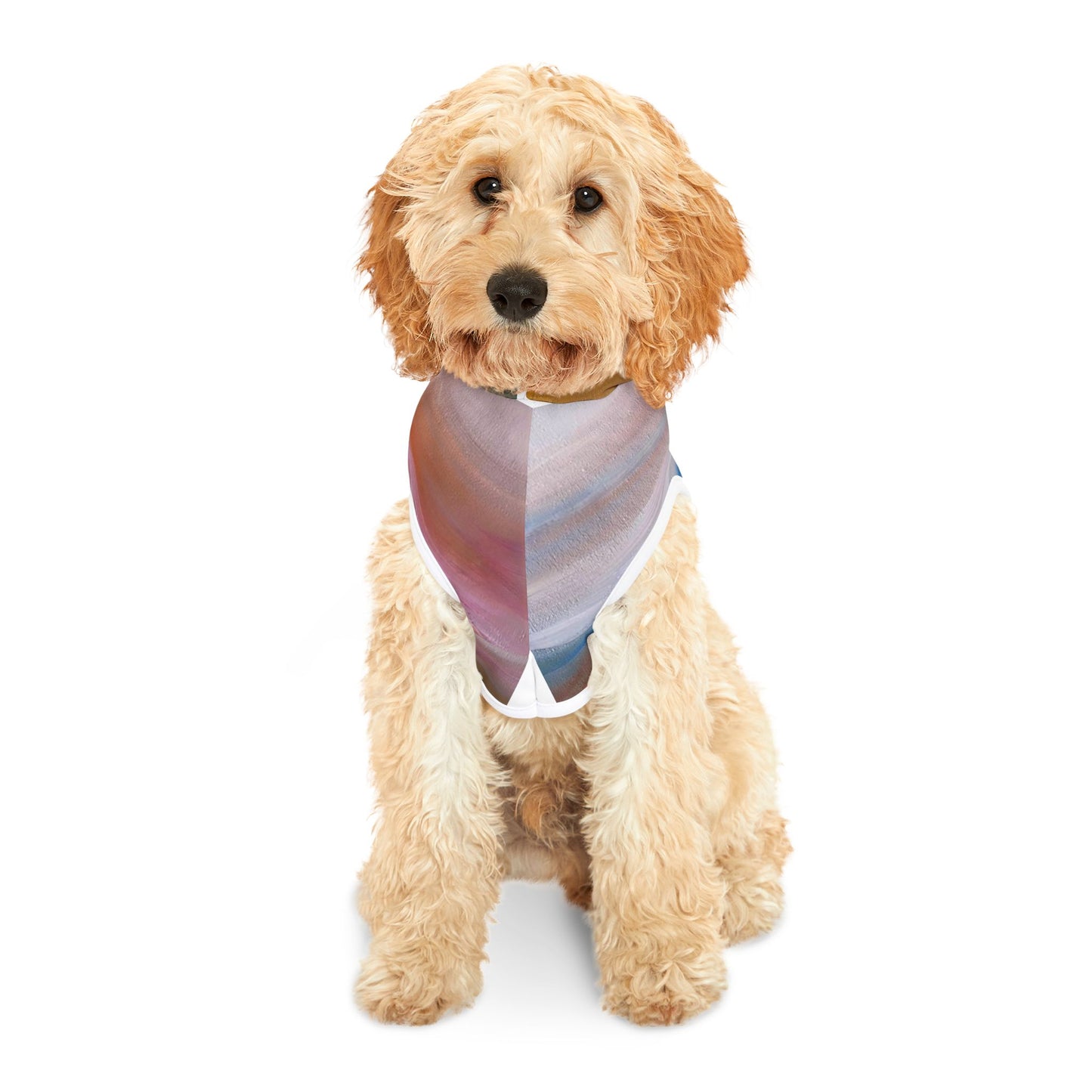 Abstract Watercolor Pet Hoodie - Cozy Colorful Dog & Cat Sweatshirt